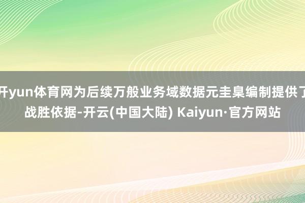 开yun体育网为后续万般业务域数据元圭臬编制提供了战胜依据-开云(中国大陆) Kaiyun·官方网站