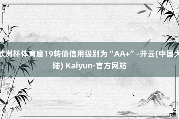 欧洲杯体育鹰19转债信用级别为“AA+”-开云(中国大陆) Kaiyun·官方网站