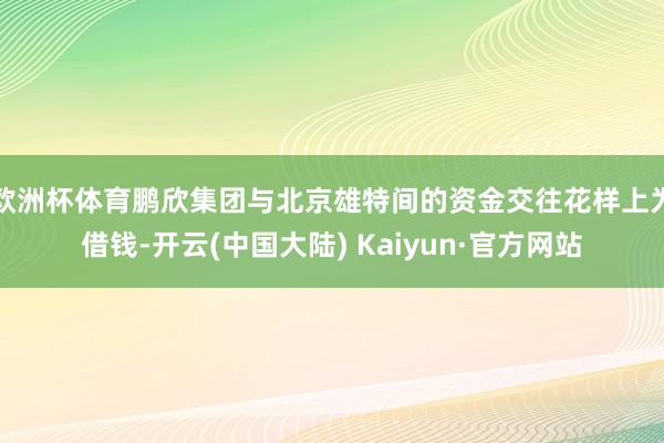 欧洲杯体育鹏欣集团与北京雄特间的资金交往花样上为借钱-开云(中国大陆) Kaiyun·官方网站