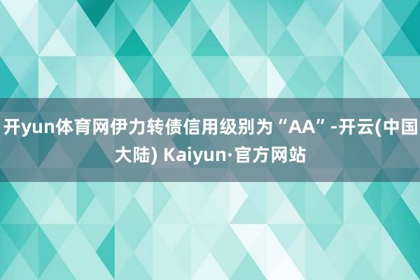 开yun体育网伊力转债信用级别为“AA”-开云(中国大陆) Kaiyun·官方网站