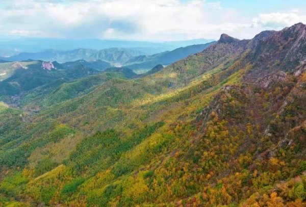 欧洲杯体育远看犹如彩带绕一山红叶6公里长的环形步谈宜徒步不雅赏平谷区金海湖 是北京坚苦的可在水面上不雅赏红叶的景区况且红叶不雅赏面积相配壮不雅彩叶树种也丰富各种领有黄栌、元宝枫、火把黄金槐等 10余个彩叶品种两万多亩彩叶与湖水互相烘托尤为惊艳延庆区玉渡山的秋天也来得非常早每年从10月份运转山上的松树、桦树、杨树、榆树还有很多不闻明的树种便渐次披上秋装丽都登场站在玉渡山景区大桥向迢遥远看时只见咫尺秋