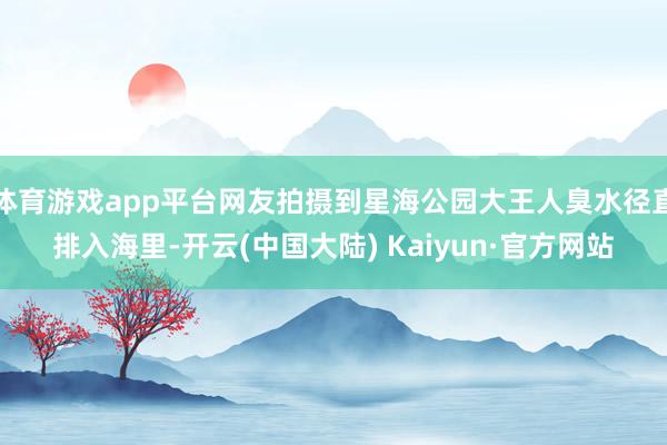 体育游戏app平台网友拍摄到星海公园大王人臭水径直排入海里-开云(中国大陆) Kaiyun·官方网站