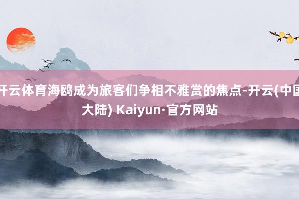 开云体育海鸥成为旅客们争相不雅赏的焦点-开云(中国大陆) Kaiyun·官方网站